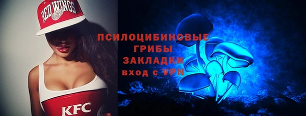 хмурый Алзамай