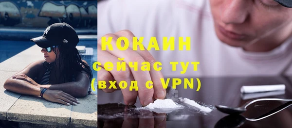 хмурый Семилуки
