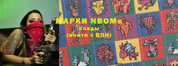 хмурый Алзамай