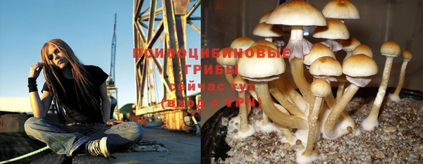меф Семикаракорск