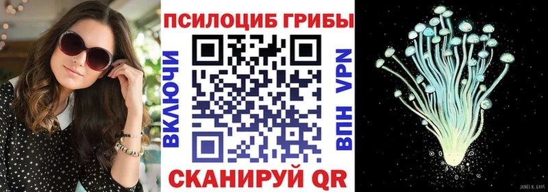 Галлюциногенные грибы прущие грибы  хочу наркоту  Талдом 